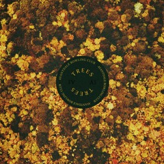 Gold Tops - ABC (luddite flip)