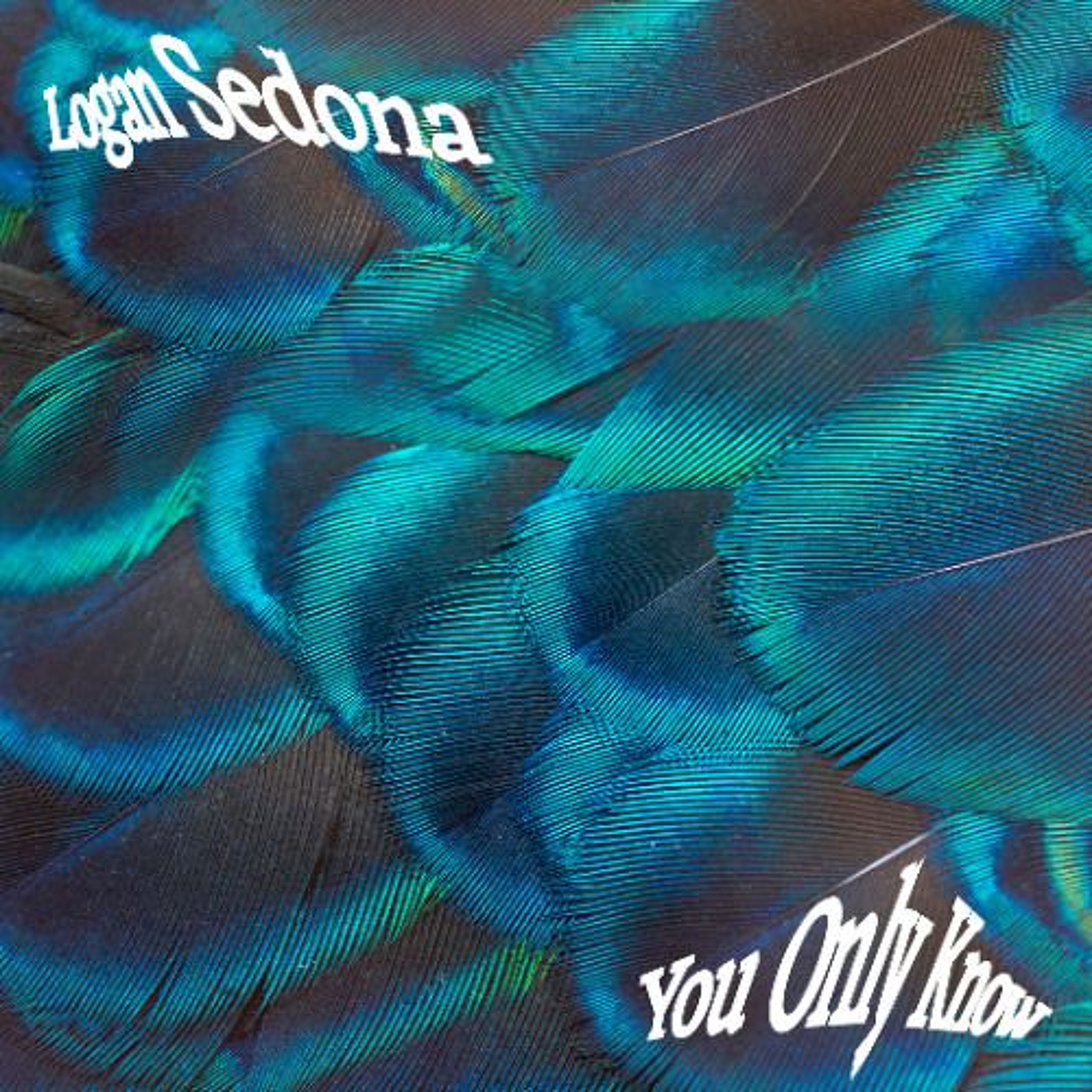 Logan Sedona - You Only Know  (Slater Mix) episode artwork