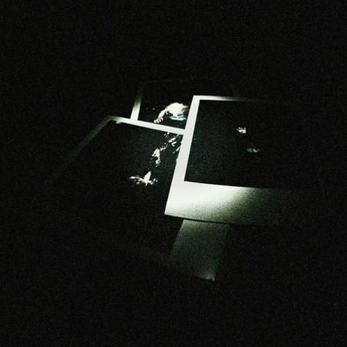 tana - red (extended) [zodiac]