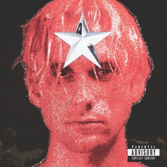 PAUL MAXWELL - POOL PALACE *** VIDEO OUT NOW