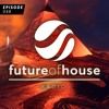 Download Video: Future Of House Radio - Episode 048 - August 2024 Mix