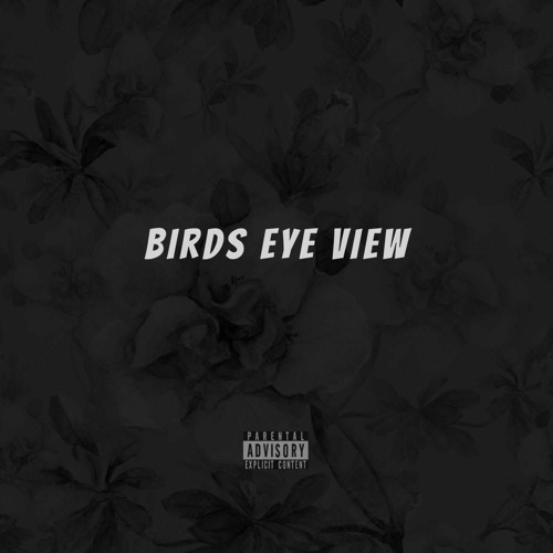 Birds Eye View Prod. Bandit Luce Beats 