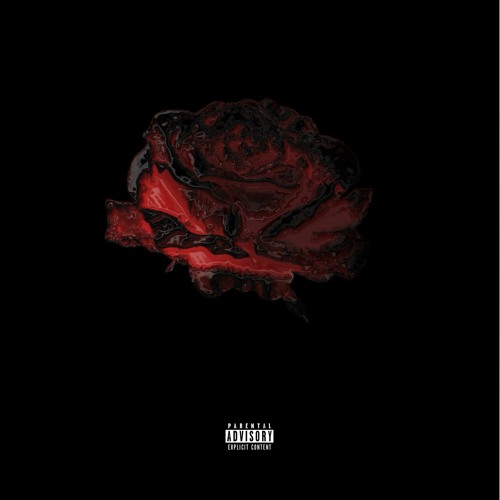 Veronica Rose - Put My Heart In The Freezer