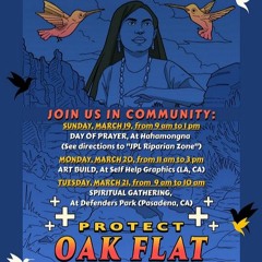 Protect Chi’chil Bildagoteel (Oak Flat)& the 50th Anniversary Wounded Knee Pt.2