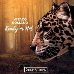 Vitaco & Romano - Ready Or Not (Maxim Andreev Remix) | ★OUT NOW★