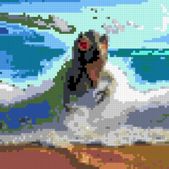 baskingshark_2025-09-27_17-48