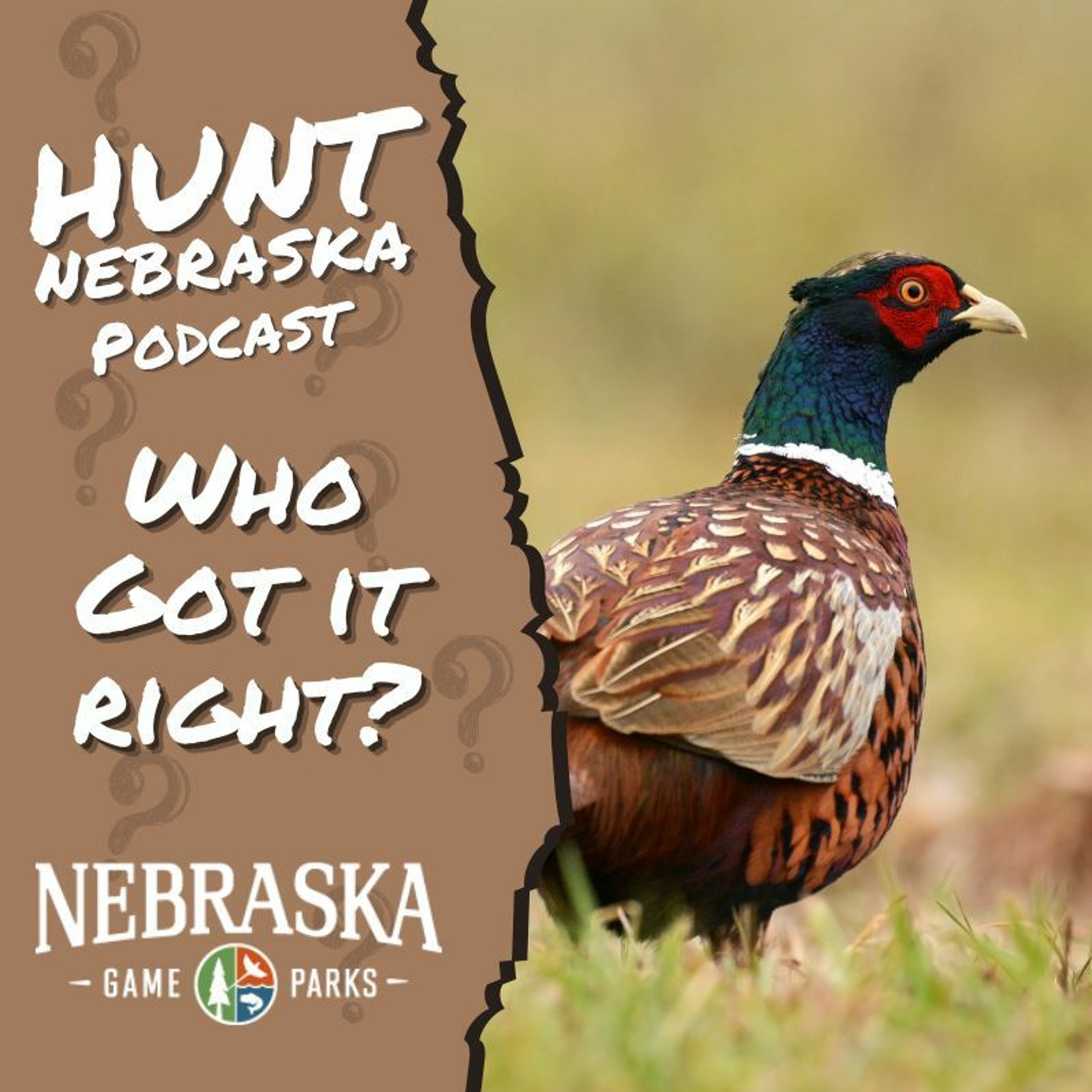 Predictions: Who Got it Right?