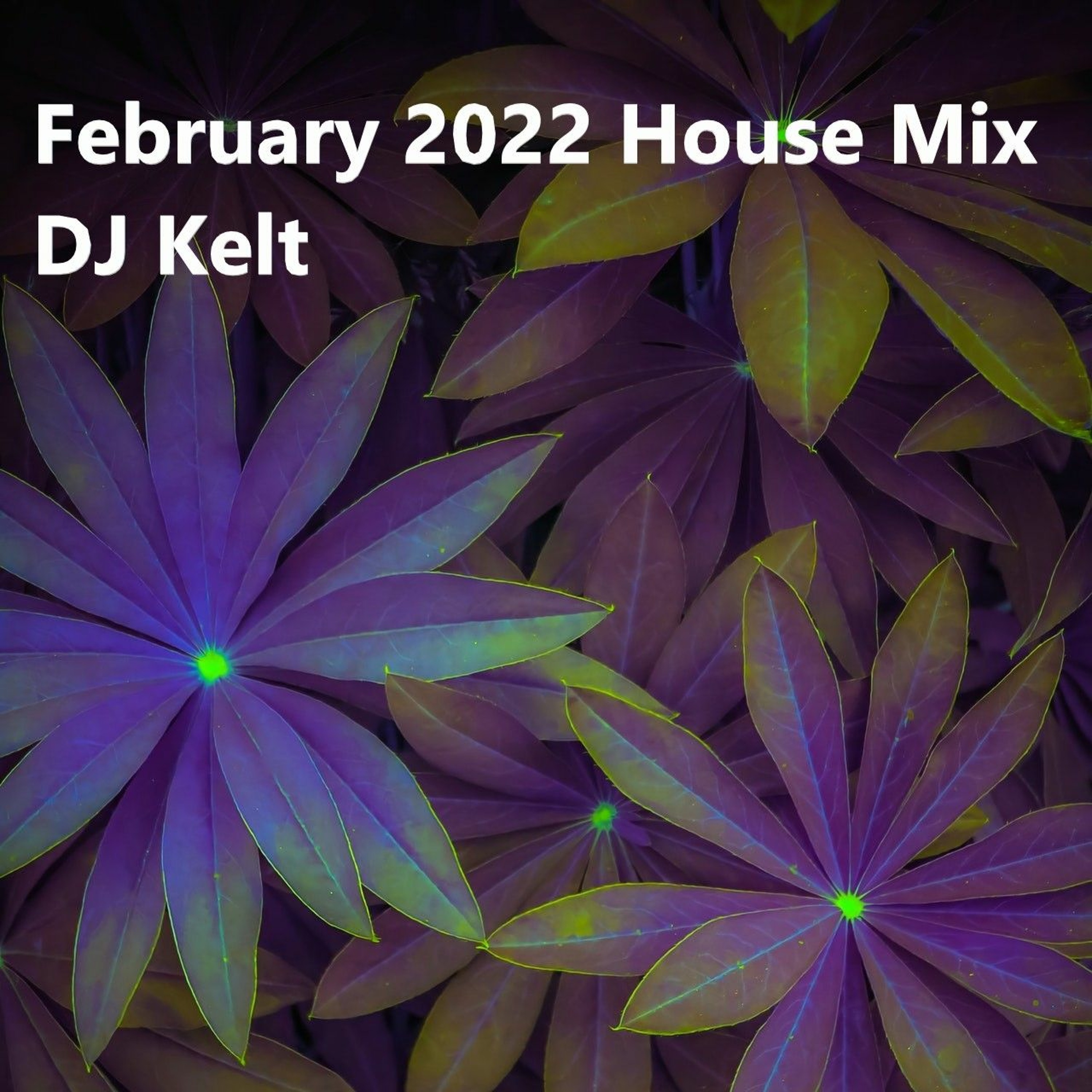 DJ Kelt\'s Podcast: Electronic Lucky Bag - Techno House Melodic Deep Hardgroove