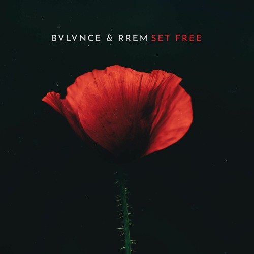 BVLVNCE & RREM - Set Free