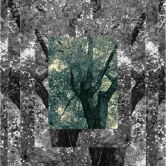 Vibration  (Original Mix)