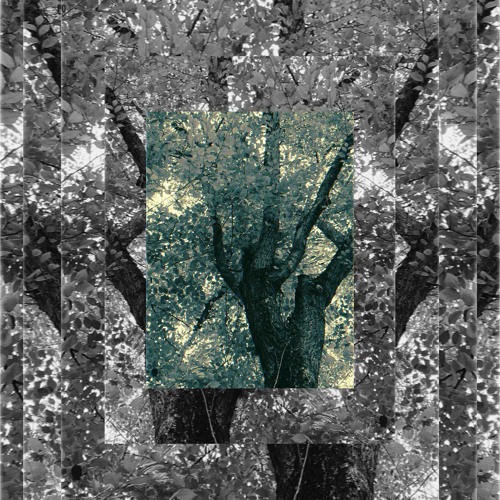 Vibration  (Original Mix)