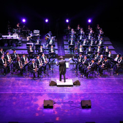 Orchestral Movements In The Dark (2025)