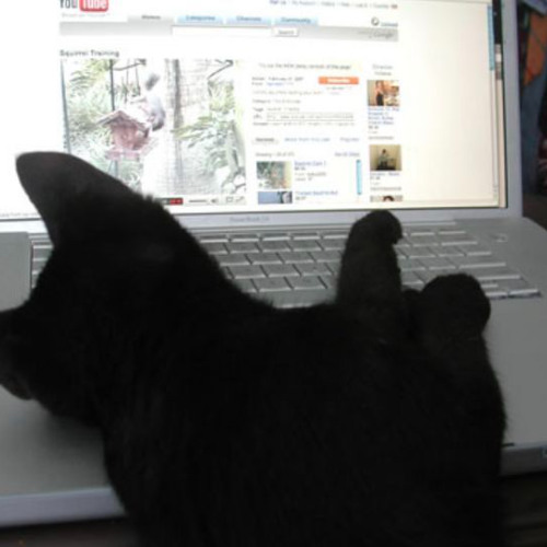 want it to end  [prod. michael harrison]