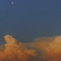 Каково быть поэтом