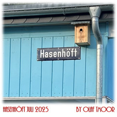 Hasenhöft Juli 2025 by Olaf TMoor