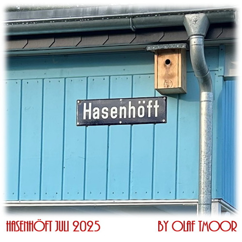 Hasenhöft Juli 2025 by Olaf TMoor