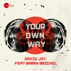 David Jay Feat Sarah Brickel - Your Own Way