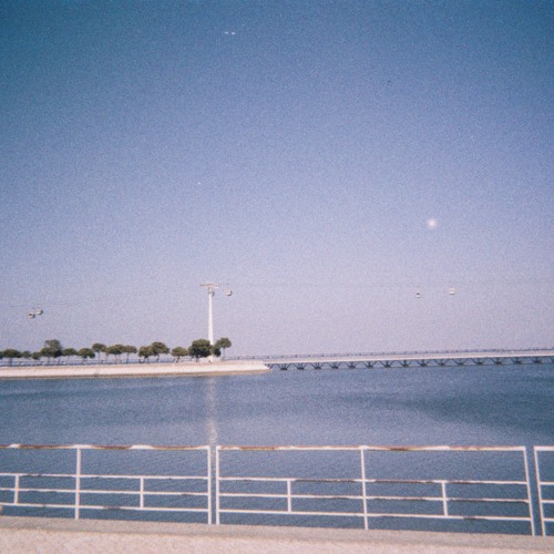 maybe all i need is an answer