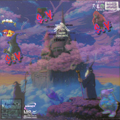 whimsical mane pondering  his thought's kevilnius x DJ Bro hosted by $.pohhu¥