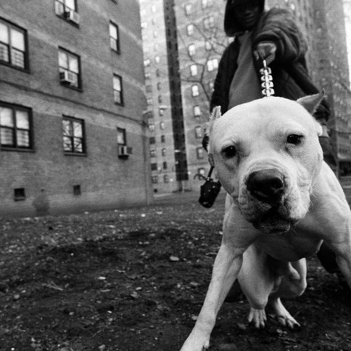 🔊БИТ BAET type trap nev beat 2020 биты для рэпа трап