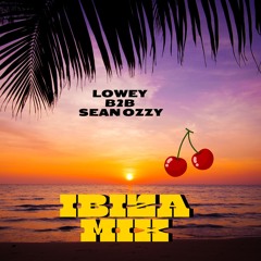 Lowey b2b sean ozzy ibiza mix