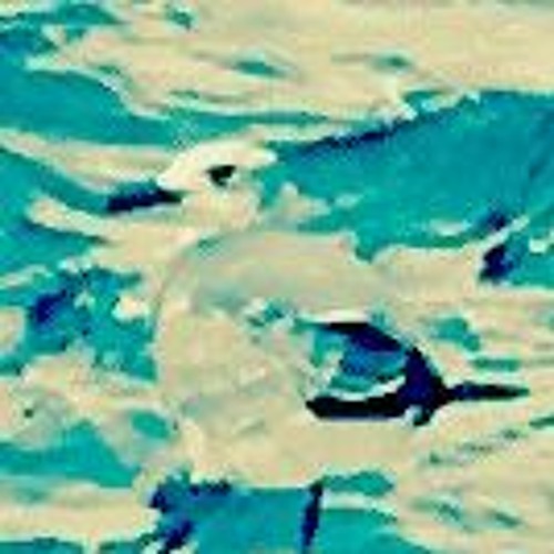 Transient