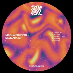 PREMIERE: Nicola Brusegan - Gold Town [Symbiotical Records]