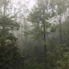 cryofloneliness album.mp3