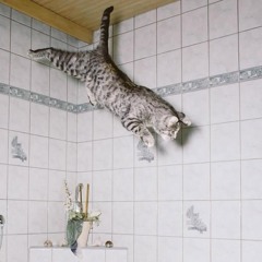 The Great Escape