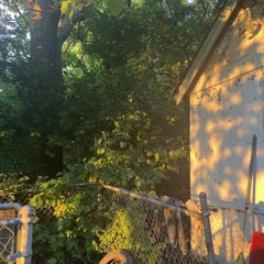 Blonde hair office girl .raw