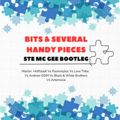 Bits & Several Handy Pieces - Ste Mc Gee Bootleg