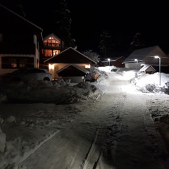 the moonlit road of no end