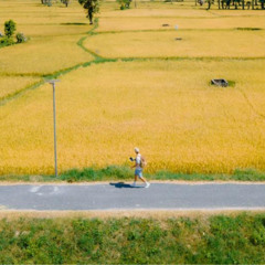 Đường phố_đường vắng vẻ 2pm_An Giang 2024