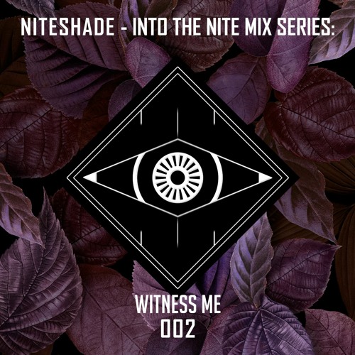 INTO THE NITE: 002 - WITNESS ME