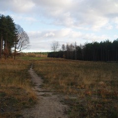 De rode zakdoek - Averbode bos en heide - Scherpenheuvel-Zichem