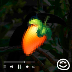 tucan gonk gonk freestyle