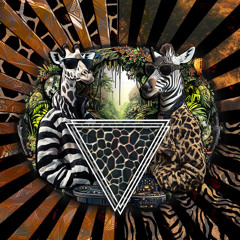 -- Dj Set House Electro @ Zouav'Festival #4 -- Oct 25 // Nikko Del Barrio