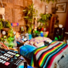 isolatedmix 132 - Matt Xavier: Psilocybin Therapy Protocol v1.22a