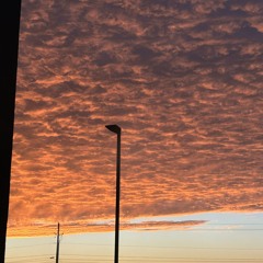 RUN WILD * ftp HUNGRY GIZMO scs ACOUSTIX  2025 October