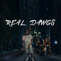 Real Dawgs  volume#1