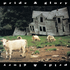 Horse Called War