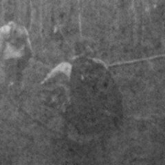 Celestial Waters, 1991-1993, Ales Gryb, town of Luninets