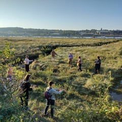 03_The Intertidal Choir Vocalising Batys Marsh Binaural Stereo 2023