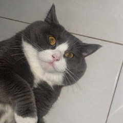 DJ D3MAR ™️ - '' MATI MATIAN MAHALINI '' DUGEM PARTY BIRTHDAY [ VR FROM HAHAHADIR ]