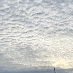 stupid people (COVER)