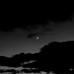 sometimes i feel like saying goodbye (ON SPOTIFY)