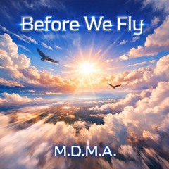 Before We Fly (work in progress)