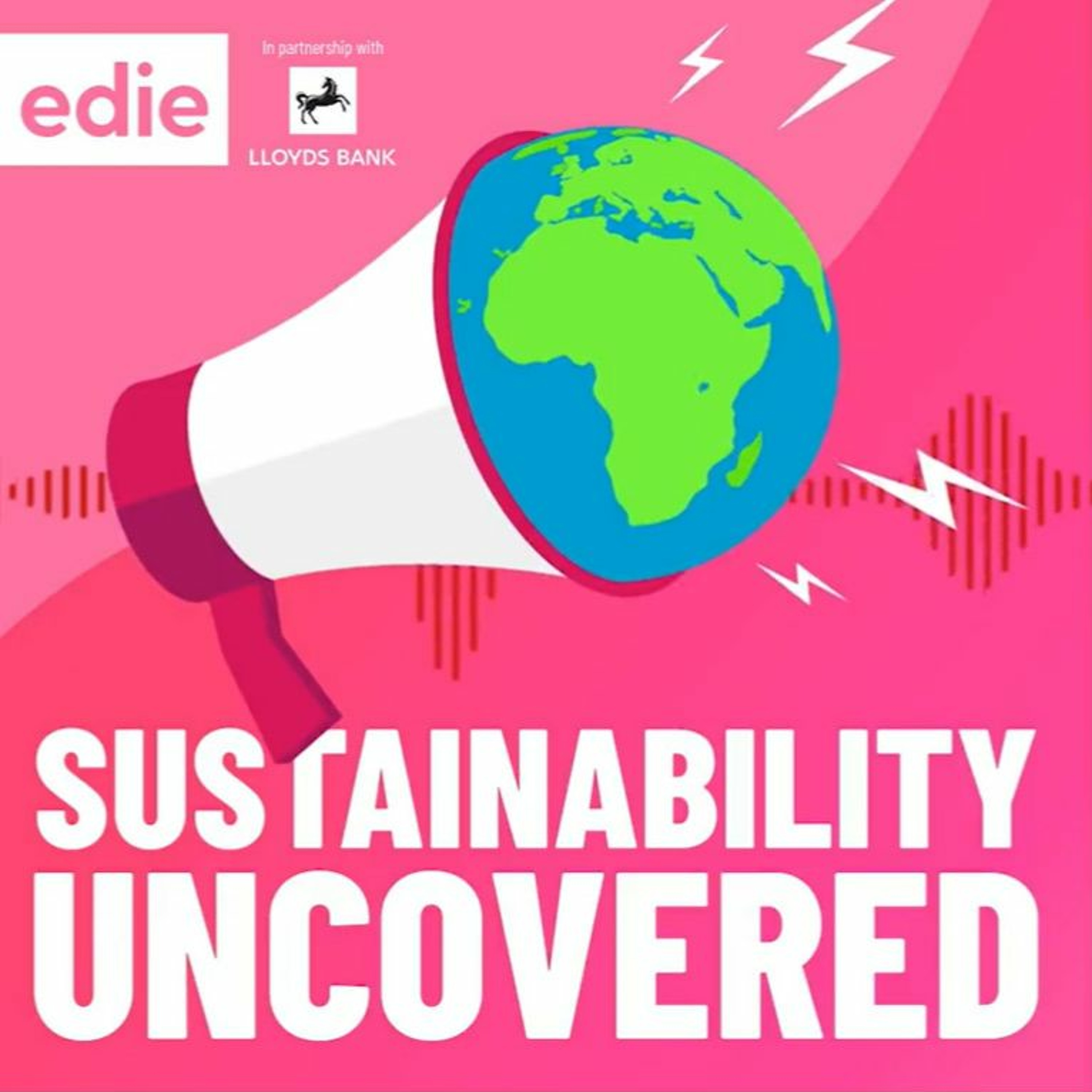 Sustainability Uncovered Podcast: COP27 reflections, hydrogen breweries and youth climate cafés