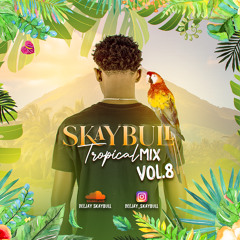 DJ SKAYBULL - TROPICAL MIX VOL.8