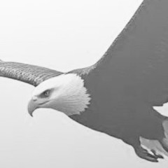 american-the-amazing